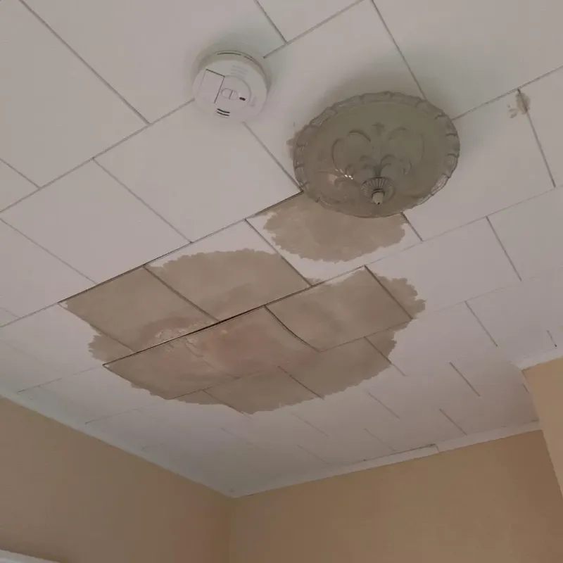 Ceiling Water Damage Repair in Millersburg, OH