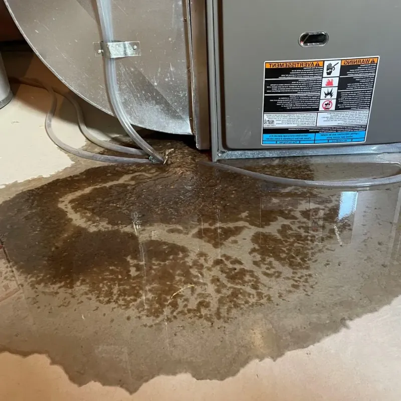 Pipe Burst and Leak Restoration in Millersburg, OH