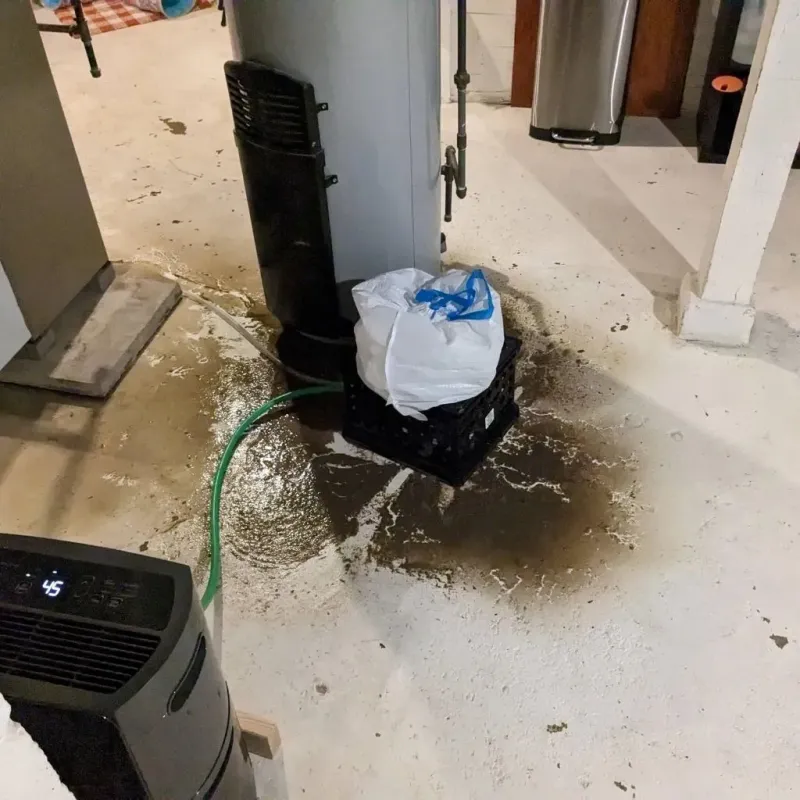 Sewage Backup Cleanup Service in Millersburg, OH